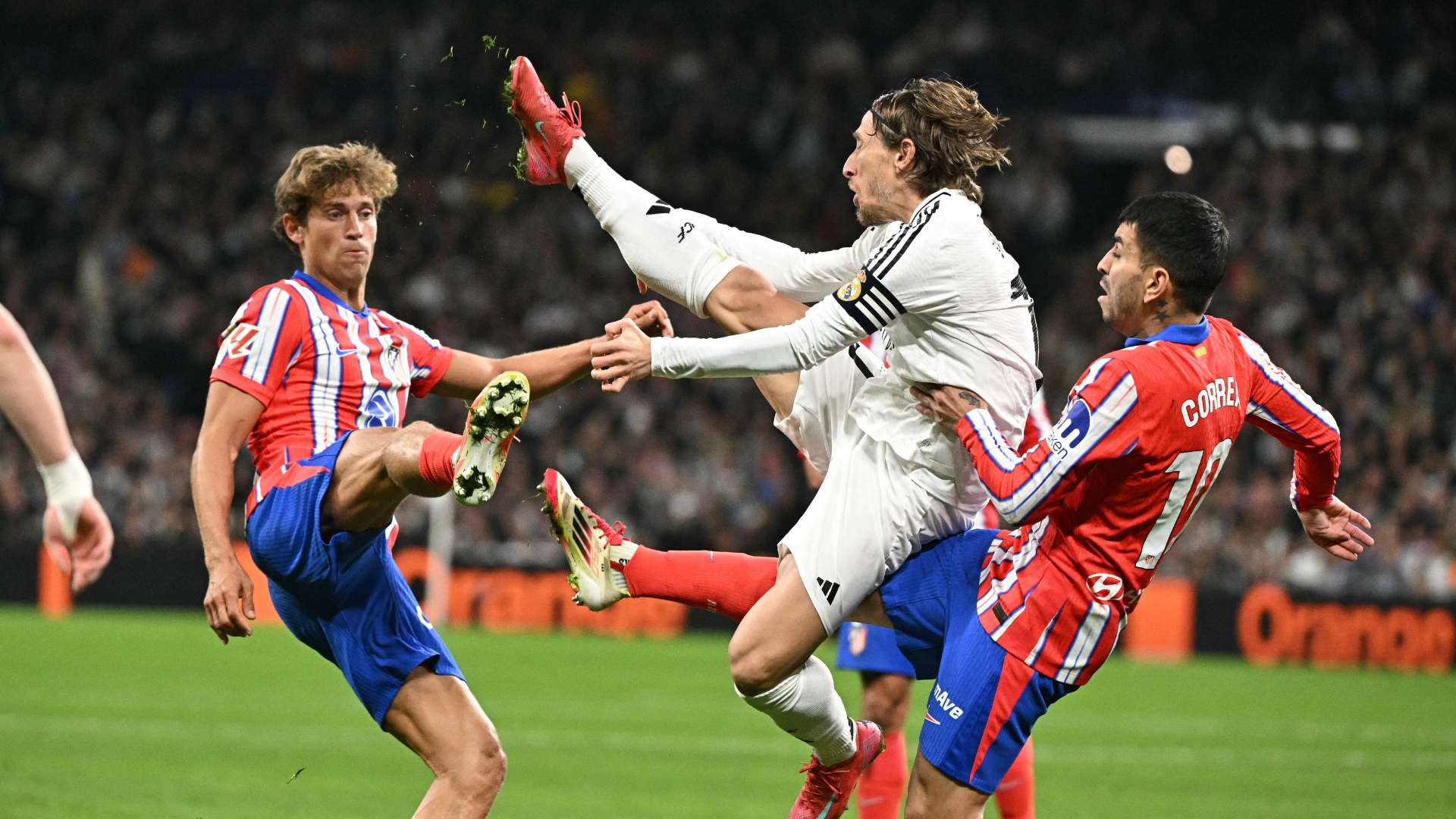 国内联赛 国内联赛